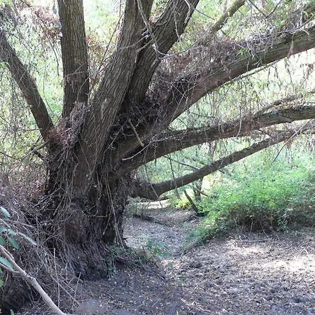 Lasmargas 3* Madrona